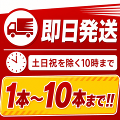 【10本まで即日出荷】2026年製 初田製作所　住宅用強化液消火器　ALS-1RH　※新品用リサイクルシール付き ※10時までの注文で最短当日発送 - 火消し屋.Shop
