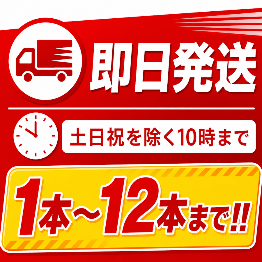 【12本まで即日出荷】初田製作所 PEP - 10N 10型消火器 ABC火災対応 粉末蓄圧式 リサイクルシール付 2026年製 ※10時までの注文で最短当日発送 - 火消し屋.Shop
