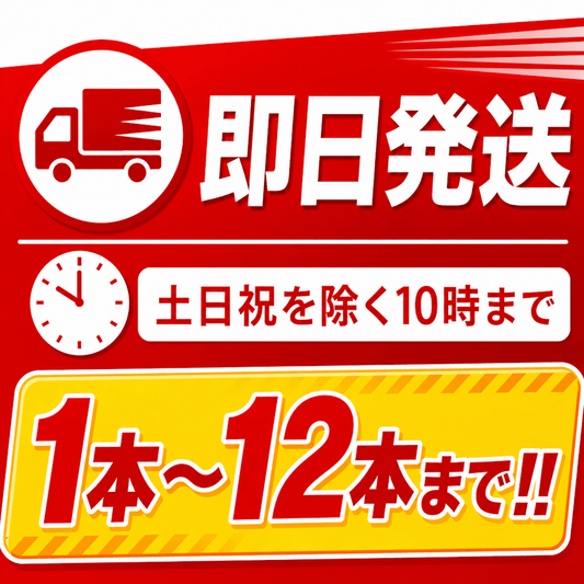 【12本まで即日出荷】初田製作所 PEP - 10N 10型消火器 ABC火災対応 粉末蓄圧式 リサイクルシール付 2026年製 ※10時までの注文で最短当日発送 - 火消し屋.Shop