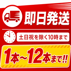 【12本まで即日出荷】初田製作所 PEP - 10N 10型消火器 ABC火災対応 粉末蓄圧式 リサイクルシール付 2026年製 ※10時までの注文で最短当日発送 - 火消し屋.Shop