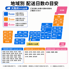 【12本まで即日出荷】初田製作所 PEP-10N 10型消火器 ABC火災対応 粉末蓄圧式 リサイクルシール付 2026年製 ※10時までの注文で最短当日発送 - 火消し屋.Shop