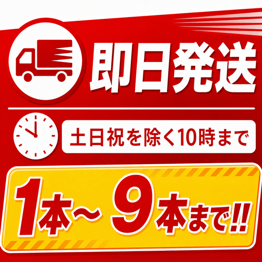 2026年製 ヤマトプロテック　自動車用10型消火器　YAM-10XⅡ 8/25入荷予定　※新品用リサイクルシール付き - 火消し屋.Shop