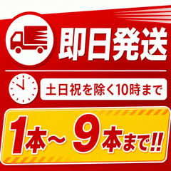 2026年製 ヤマトプロテック　自動車用10型消火器　YAM-10XⅡ 8/25入荷予定　※新品用リサイクルシール付き - 火消し屋.Shop