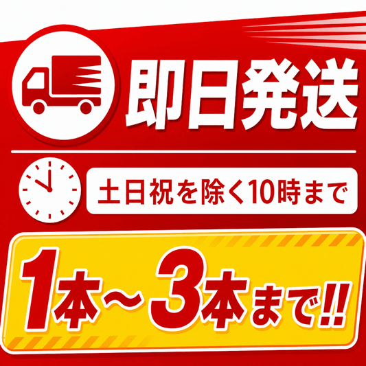 【3本まで即日出荷】2026年製 初田製作所 自動車用 20型 消火器 PEP-20V ※新品用リサイクルシール付き ※10時までの注文で最短当日発送 - 火消し屋.Shop