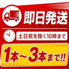 【3本まで即日出荷】2026年製 初田製作所 自動車用 20型 消火器 PEP-20V ※新品用リサイクルシール付き ※10時までの注文で最短当日発送 - 火消し屋.Shop