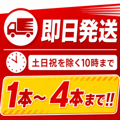 【4本まで最短即日出荷】初田製作所 消火訓練用放射器具 テスター7 ※10時までのご注文で当日出荷 - 火消し屋.Shop