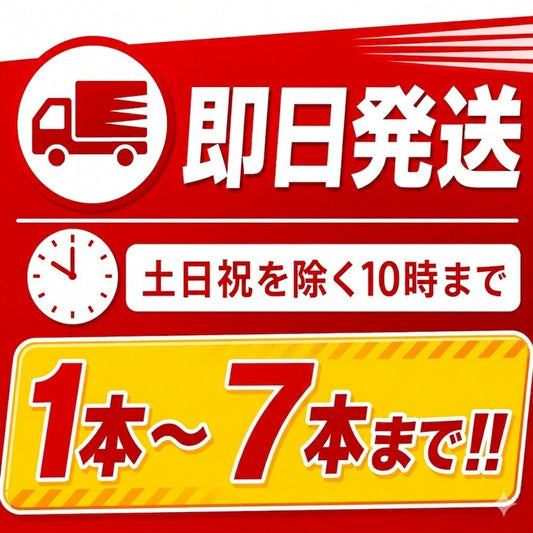 【7本まで即日出荷】2026年製 初田製作所 強化液 3L 消火器 ALS-3 ※新品用リサイクルシール付き ※10時までの注文で最短当日発送 - 火消し屋.Shop