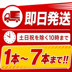 【7本まで即日出荷】2026年製 初田製作所 強化液 3L 消火器 ALS-3 ※新品用リサイクルシール付き ※10時までの注文で最短当日発送 - 火消し屋.Shop